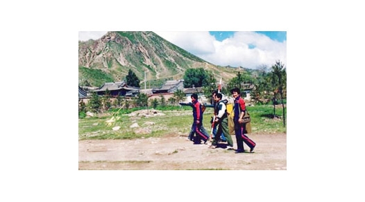 愉快的實習(xí)生活